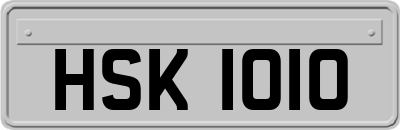 HSK1010