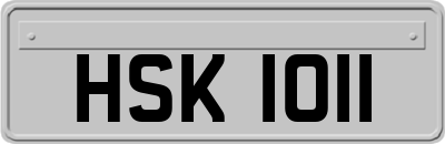 HSK1011