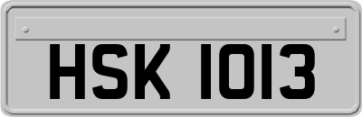 HSK1013