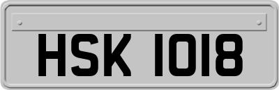 HSK1018