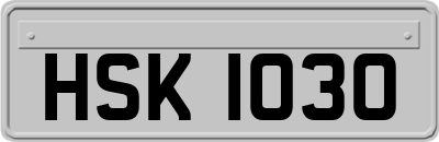 HSK1030