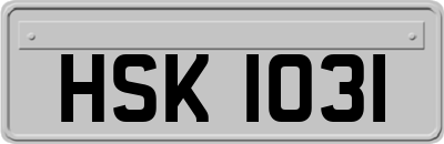 HSK1031