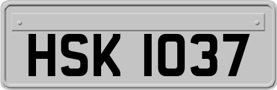 HSK1037