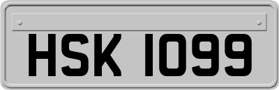 HSK1099