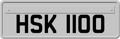 HSK1100