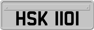 HSK1101