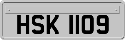 HSK1109