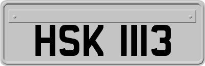 HSK1113