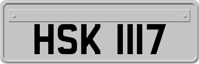 HSK1117