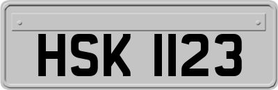 HSK1123
