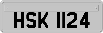 HSK1124