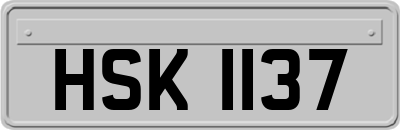 HSK1137