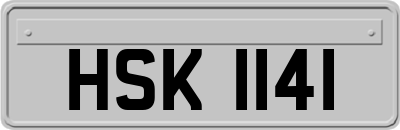 HSK1141