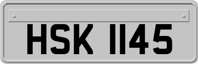 HSK1145