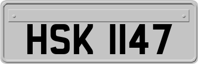HSK1147