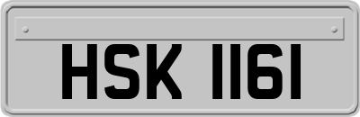 HSK1161