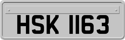 HSK1163