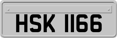 HSK1166