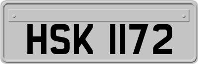 HSK1172