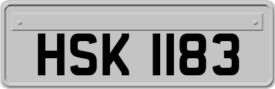HSK1183