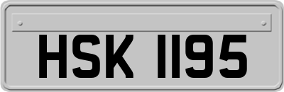 HSK1195