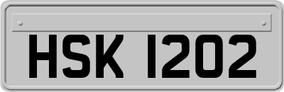 HSK1202