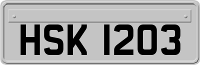 HSK1203