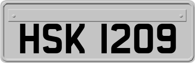HSK1209