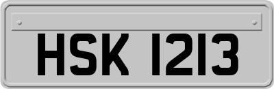 HSK1213
