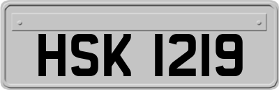 HSK1219