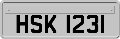 HSK1231