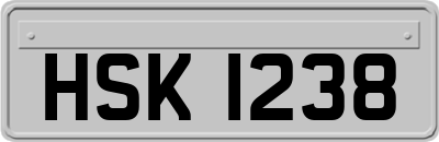 HSK1238