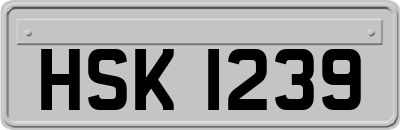 HSK1239