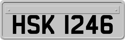 HSK1246
