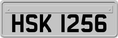 HSK1256