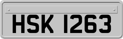 HSK1263