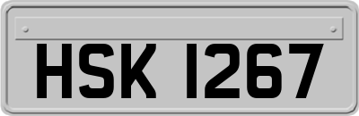 HSK1267