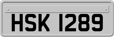 HSK1289