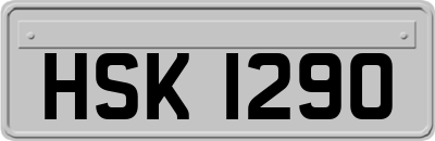 HSK1290