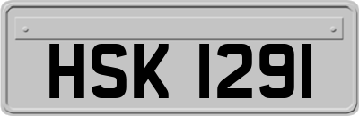 HSK1291