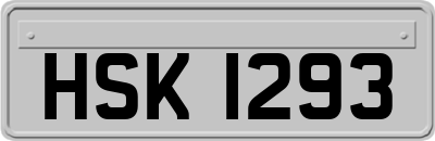 HSK1293