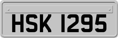 HSK1295