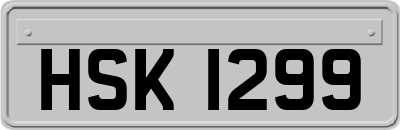 HSK1299