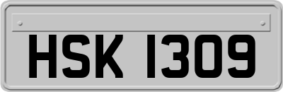 HSK1309