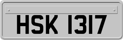 HSK1317