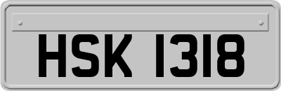 HSK1318