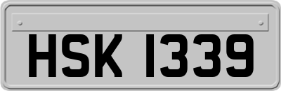 HSK1339