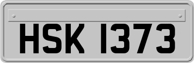 HSK1373