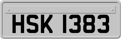 HSK1383