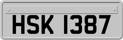 HSK1387